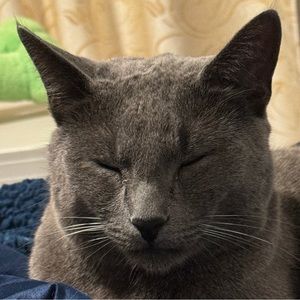 Meet your Posher, Michie